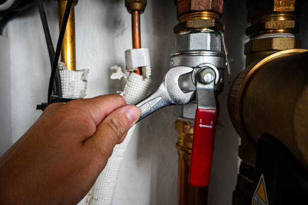 Best Clogged Drain Plumber  in Wamac, IL